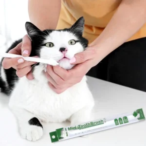 Veterinarian-recommended dog toothbrush - Dental cleaning tool with micro-head for dogs and cats.