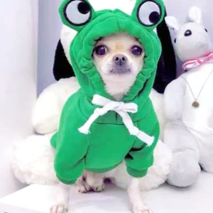 Green Hoodie for Dogs with Fun Design - Keep Your Puppy Cozy and Stylish