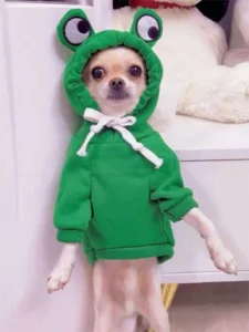 Green Hoodie for Dogs with Fun Design - Keep Your Puppy Cozy and Stylish