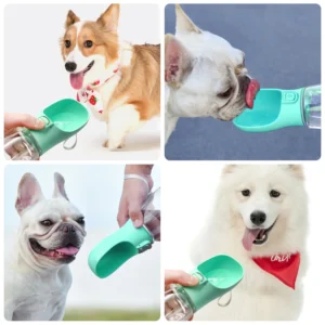 Portable water bottle for small and large dogs, ideal for outdoor walks with dogs and cats.