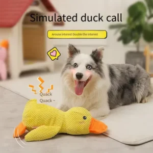 Interactive plush toy for pets
