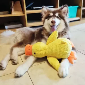 Interactive plush toy for pets