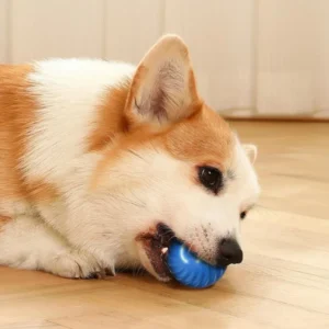 Toy Ball for Pets: Interactive Spinning Chew Toy for Puppies