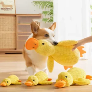 Interactive plush toy for pets